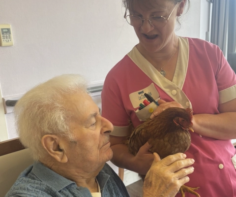 Une poule à l'EHPAD