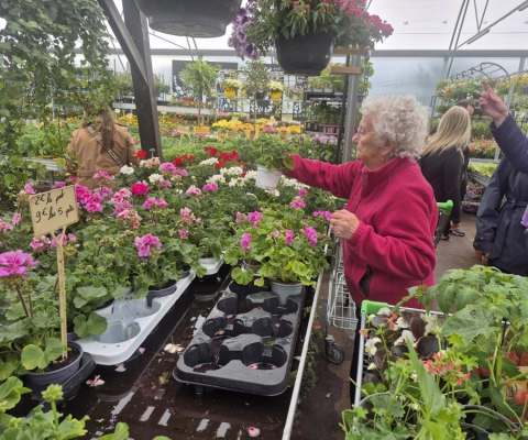 La sortie pour acheter des fleurs